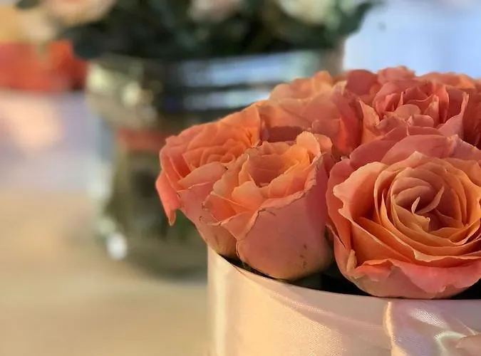 Hotel Rosa Boutique