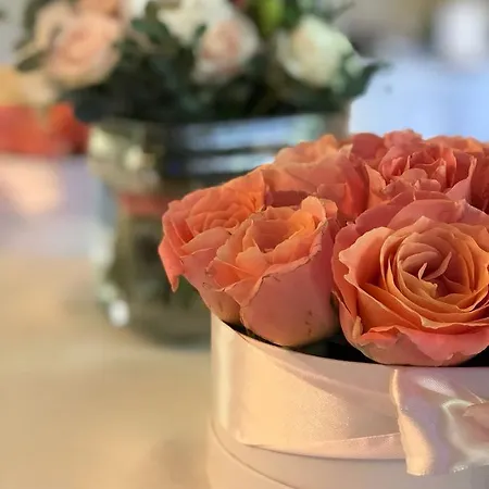 Szálloda Rosa Boutique